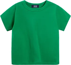 LittleSpring Boys Girls T Shirt Rainbow Striped Cotton Crewneck Tees for Kids Fashion